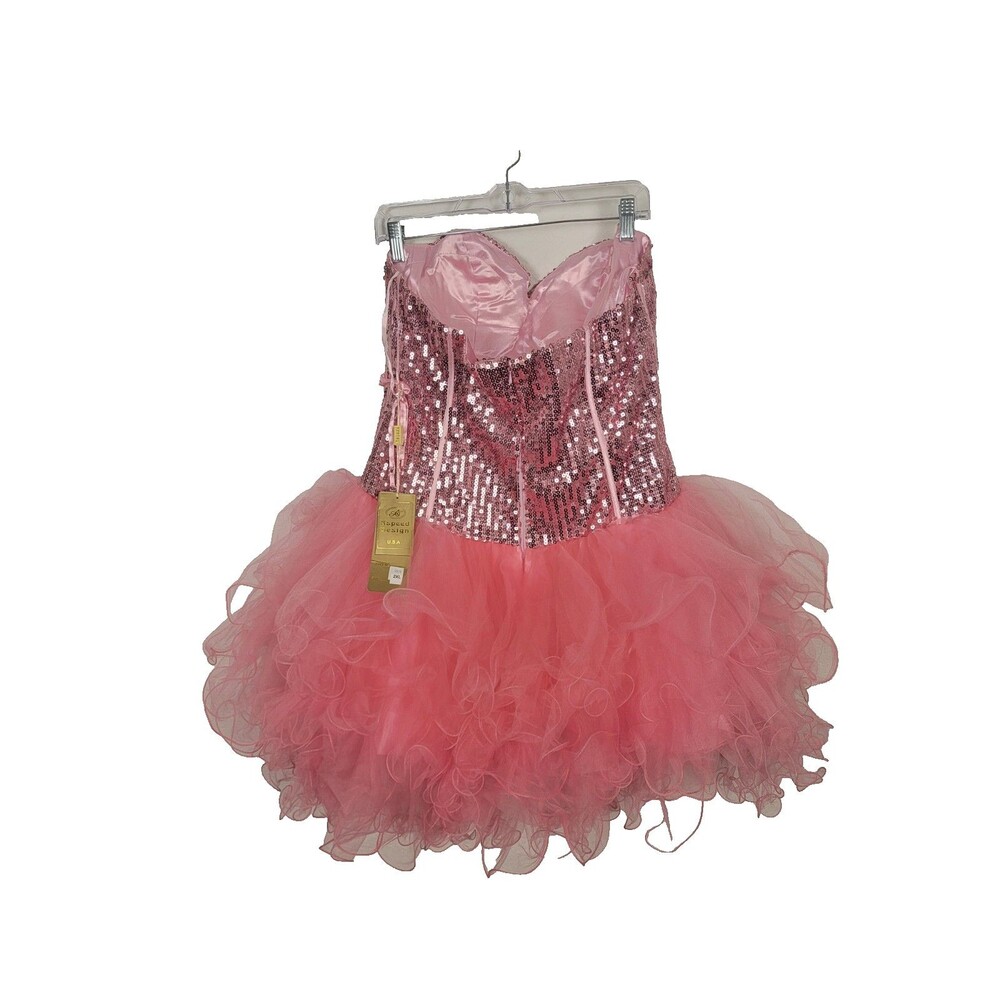 Aspeed Pink PrincessCore FairyCore Corset Tutu Dress Tulle Size 2X - Picture 3 of 16